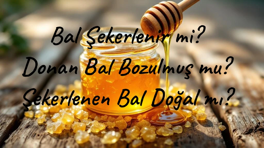 kristalize bal kavanozu bal şekerlenmesi doğal bal kristalleşmesi